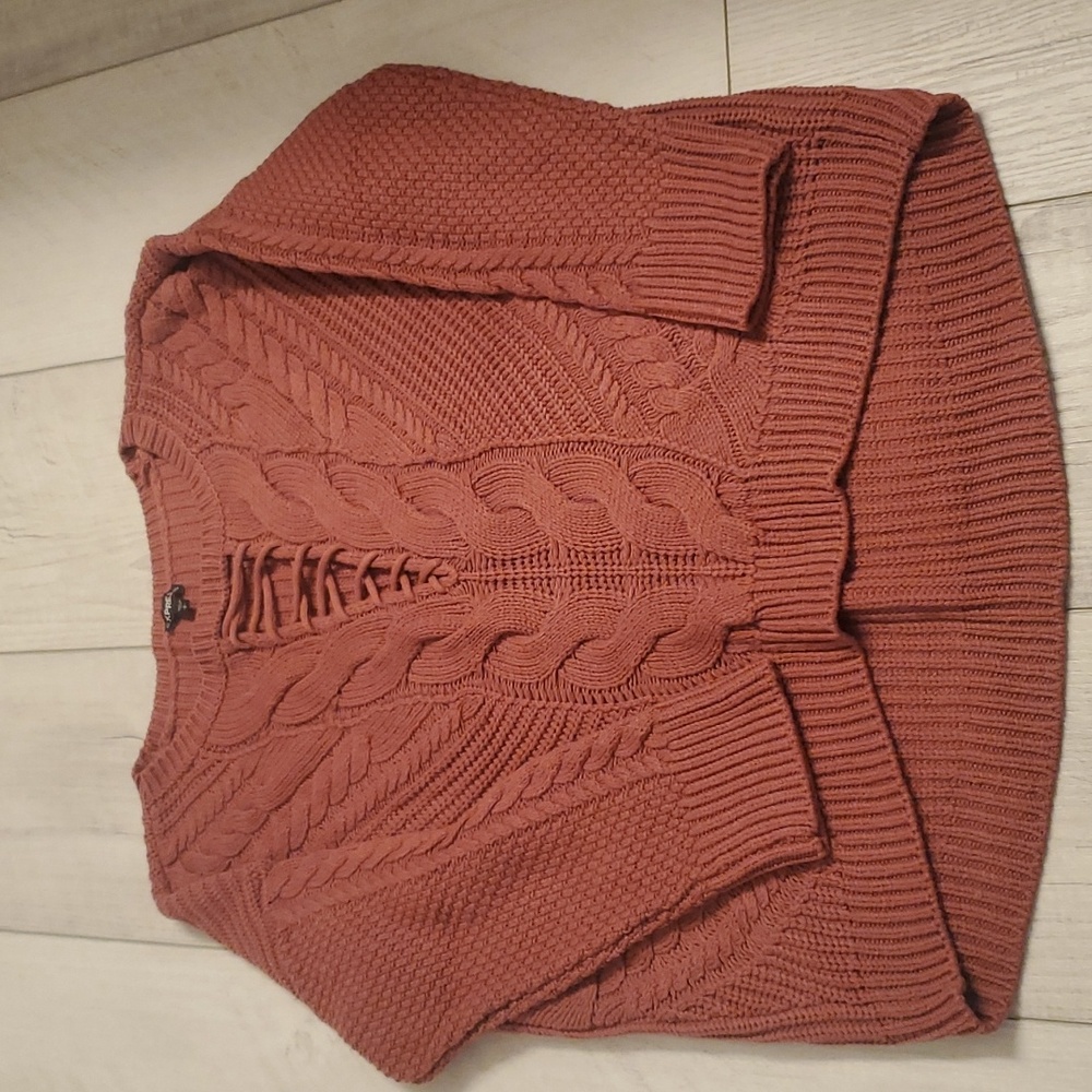 Rust colored express sweater
